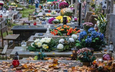 Cmentarz Wolski w Warszawie – miejsce zadumy i pamięci Warszawiaków